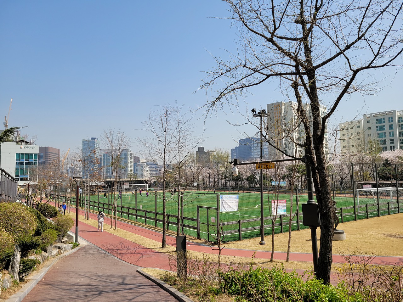 的顽强毅力 的顽强毅力