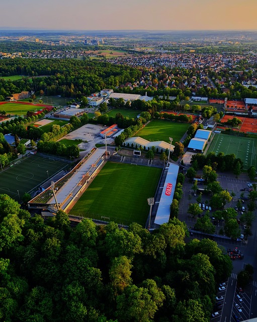 共同进步的 共同进步的