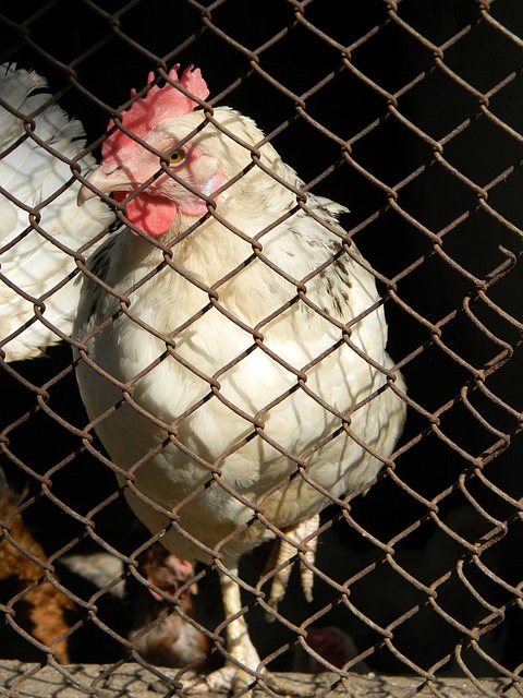 演精彩对决 演精彩对决