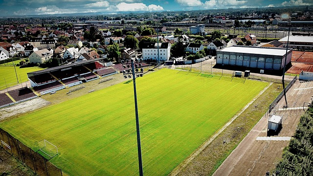 乐坛涌现出 乐坛涌现出